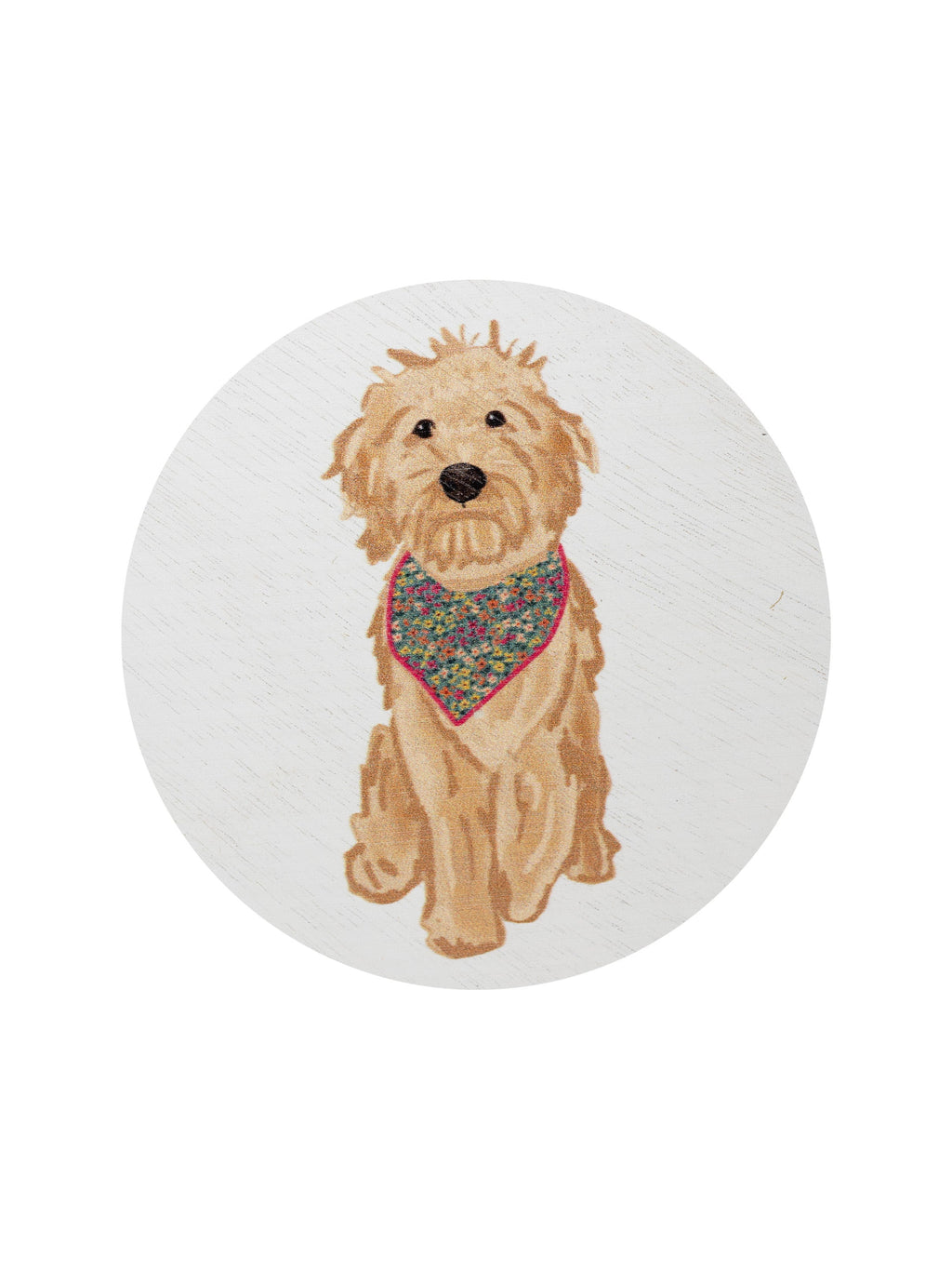 Sand + Paws Laundry Day 12 oz scented candle