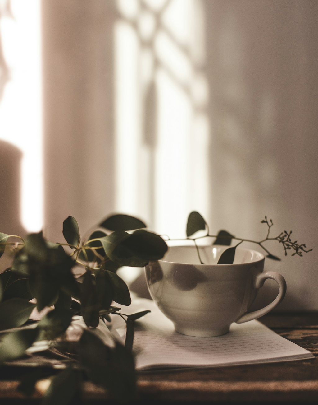 Sand + Paws Eucalyptus Mint 12 oz scented candle